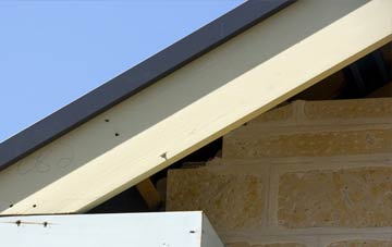Glanhanog fascia repairs
