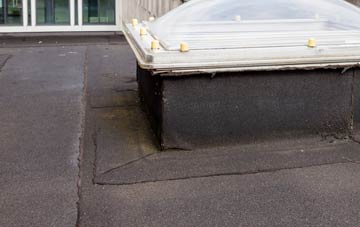 disadvantages of Glanhanog flat roofs