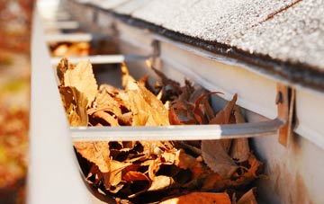 Glanhanog gutter cleaning companies