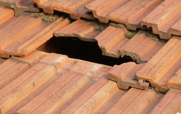 roof repair Glanhanog, Powys